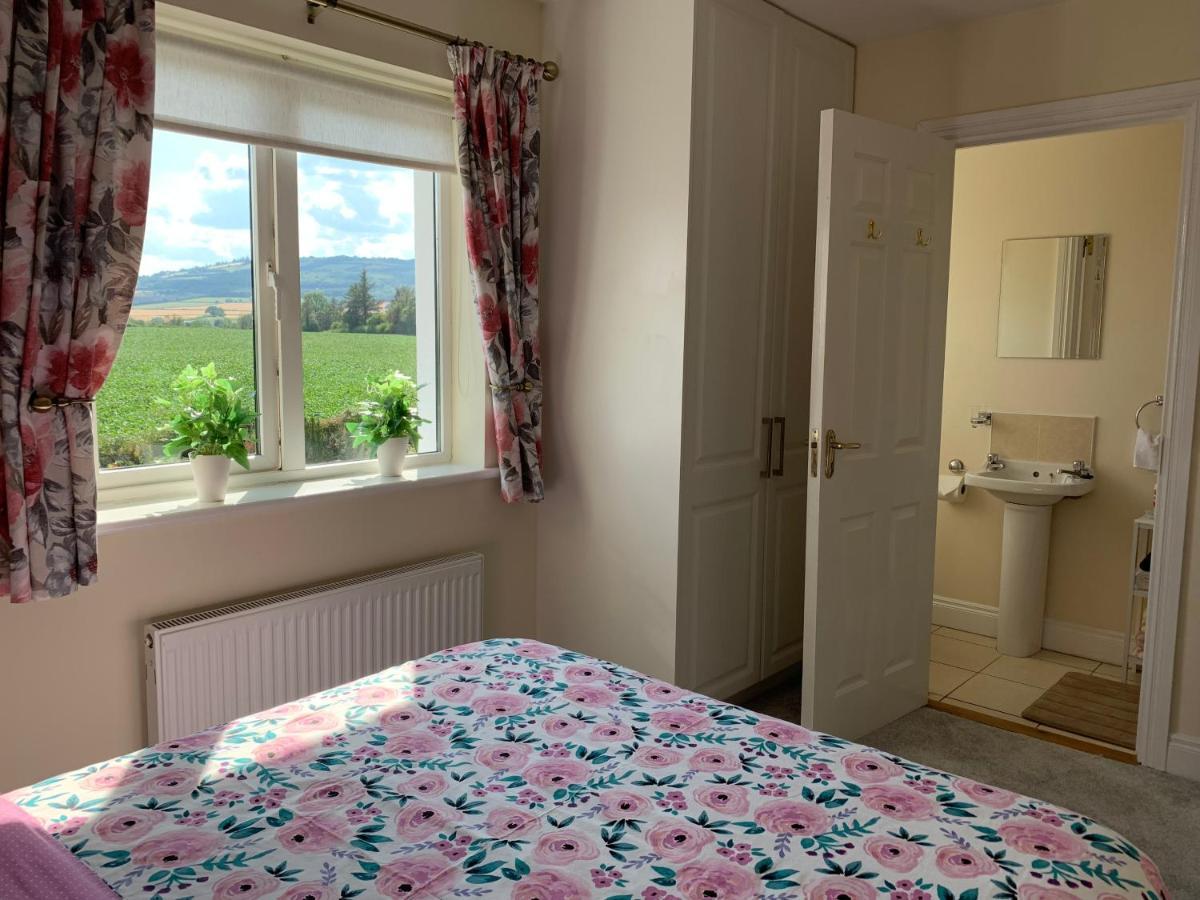 Two Bedroom Town House Beside The River Barrow Carlow Bagian luar foto